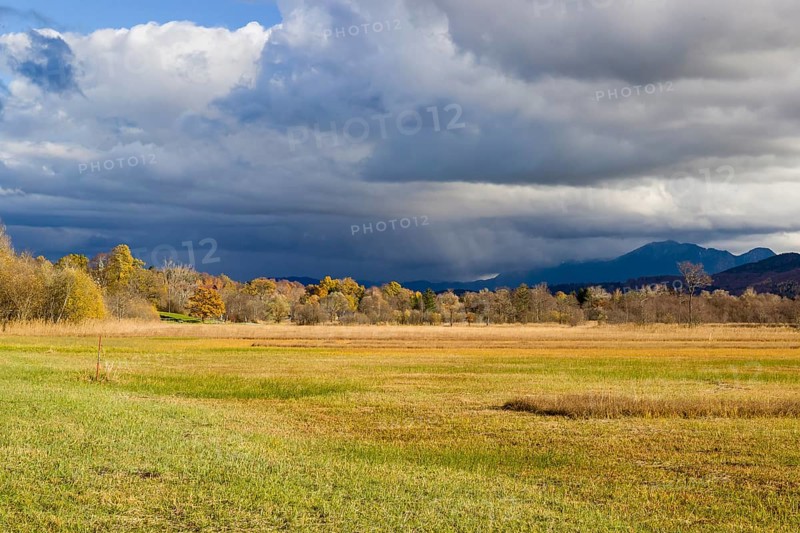 Murnau Moss, Murnauer Moos, a wetland close to Murnau, Bavaria, Germany, Europe