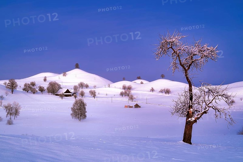 Snow-covered hilly landscape at dawn, Menzingen, Canton Zug, Switzerland, Europe