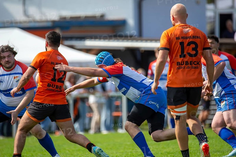 Rugby 1st Bundesliga South/West, Season 2024/25, Matchday 10: RG Heidelberg vs Heidelberger Ruderklub 1872