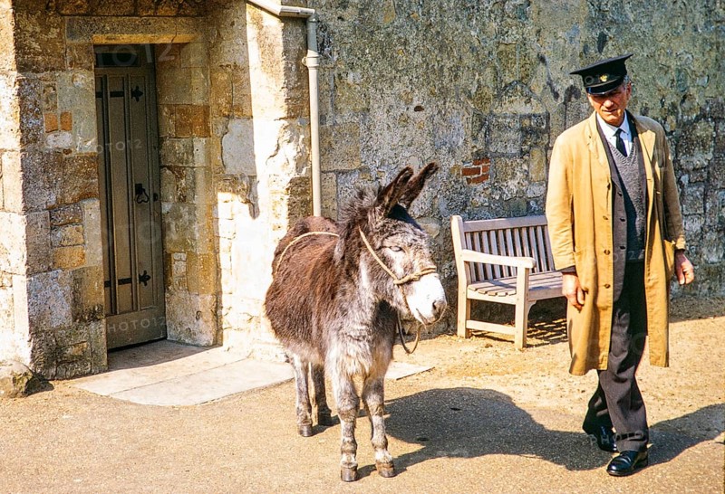 Donkey and animal keeper, Carisbrooke, Isle of Wight, England. 1973