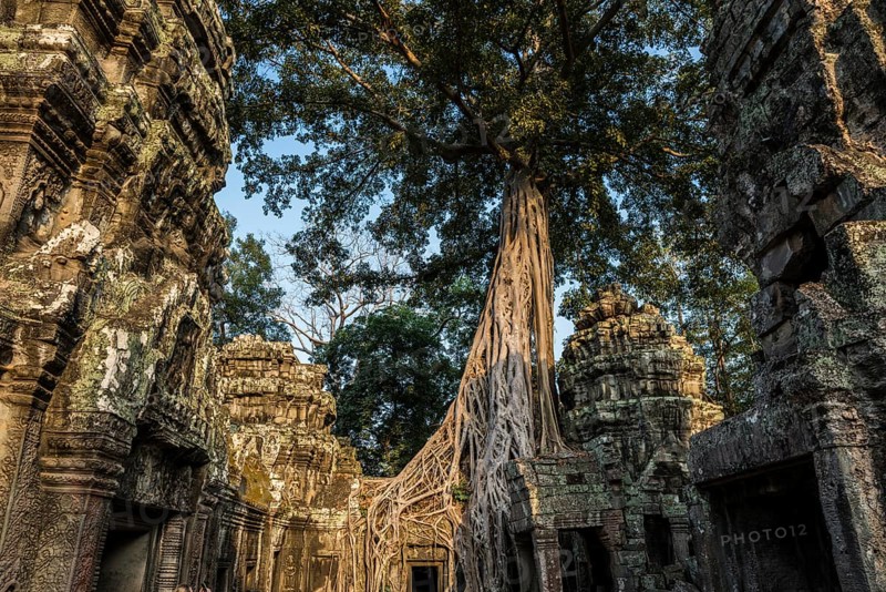 Ta Prohm, Angkor Wat, Angkor, UNESCO World Heritage Site, Siem Reap, Cambodia, Indochina, Southeast Asia, Asia