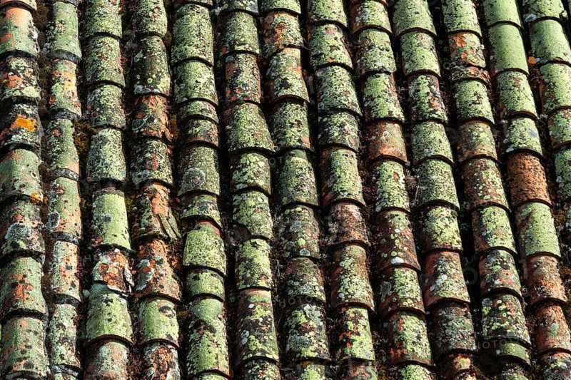 Close-up view of terracotta roof tiles showcasing unique textures and colors. The surface exhibits age with moss, lichen, and natural wear, reflecting a rustic atmosphere. France