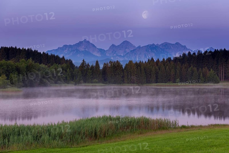 Foggy lake at dawn with visible mountains and forests, quiet atmosphere, Hegratsrieder See near Füssen, Ostallgäu, Allgäu, Swabia, Upper Bavaria, Bavaria, Germany, Europe