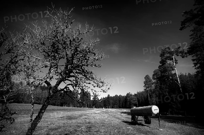 Dead tree, dead, full of lichen, water trough, water wagon, water tank, for cattle, black and white, Weiherwiesen nature reserve, Essingen, Swabian Alb, Baden-Württemberg, Germany, Europe