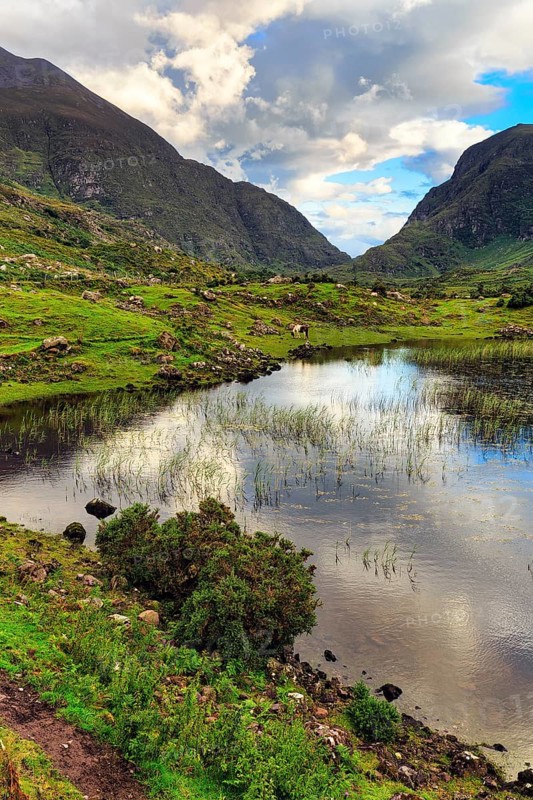 Lakeshore at dusk, Gap of Dunloe mountain pass, Killarney, Ring of Kerry scenic road, Iveragh Peninsula, County Kerry, Ireland, Europe