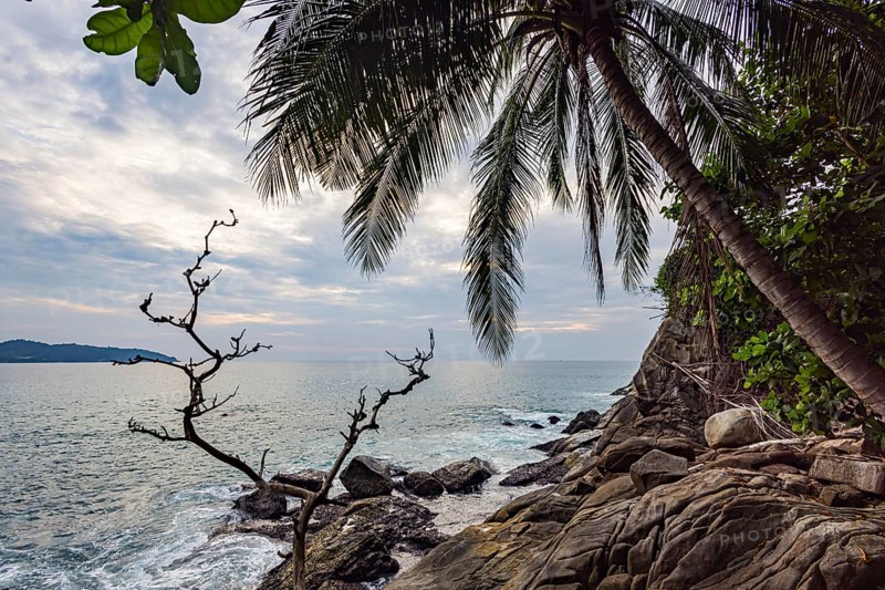Wild beach with surf on the coast facing the Indian Ocean. Palm trees and high waves at sunset. Patong, Kathu, Phuket Island, Thailand, Asia