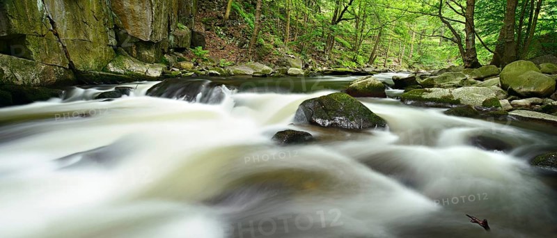 The River Bode with rapids and boulders in the Bode Valley between Thale and Treseburg, Harz Mountains, Saxony-Anhalt, Germany, Europe