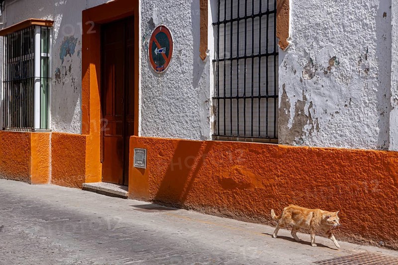 Small alley with colourful house facades, Rota, Andalusia, Spain, Europe