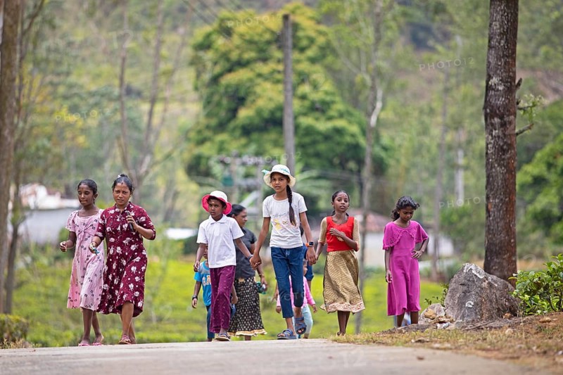 Sri Lankan woman and children go for a lunch break on a tea plantation, Ramboda, Nuwara Eliya, Central Province, Sri Lanka, Asia