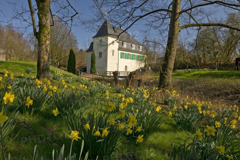 Goldberg Mill in spring, historical sight, Mettmann, Bergisches Land, North Rhine-Westphalia, Germany, Europe