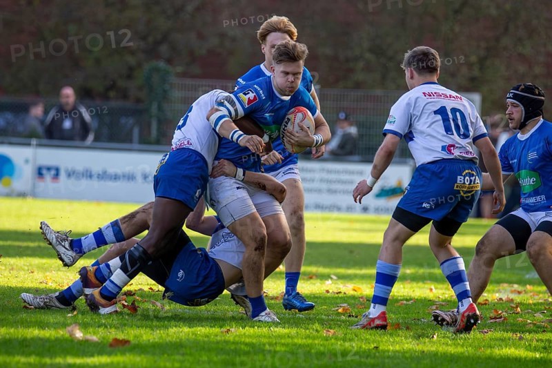 26.10.2024, Rugby 1st Bundesliga South/West, Season 2024/25, Matchday 6: SC Neuenheim vs TSV Handschuhsheim