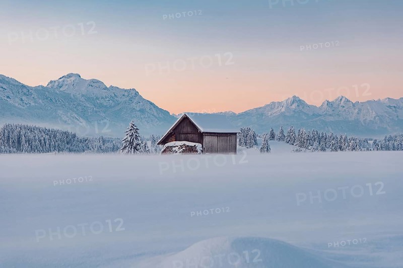 Deep snowy winter morning mood near Halblech in the foothills of the Alps in the Allgäu with the mountains in the background, Bavaria, Germany, Europe