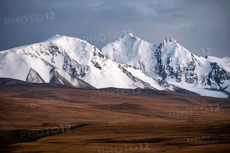 Glaciated and snow-capped mountains, dramatic landscape, high plateau, autumnal mountain landscape with yellow grass, Tian Shan, Sky Mountains, Sary Jaz Valley, Kyrgyzstan, Asia