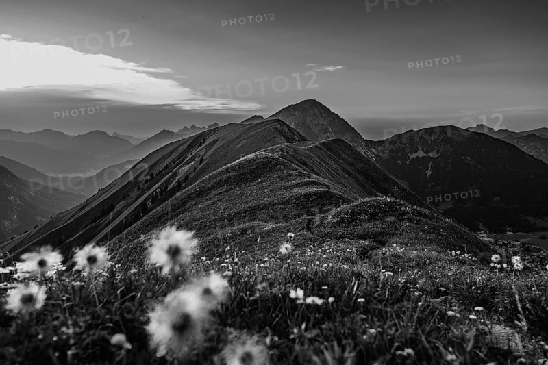 Hiking tour on the Hönig mountain in the Lechtal valley near Berwang in Tyrol, Austria, Europe