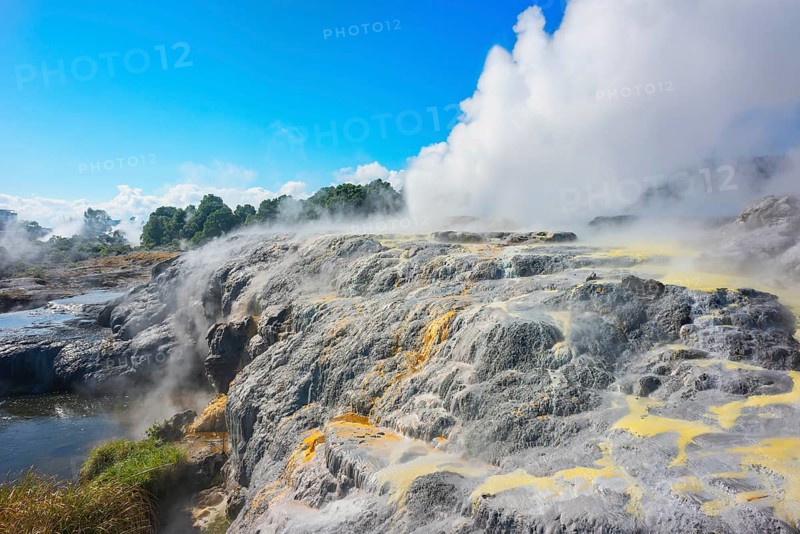Prince of Wales and Pohutu geysers erupting, Te Puia Thermal Valley, Rotorua, Bay of Plenty, North Island, New Zealand, Oceania