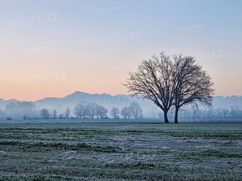 Morning atmosphere in the Siebeneichen nature reserve, with the Rigi in the background, Merenschwand, Freiamt, Canton Aargau, Switzerland, Europe