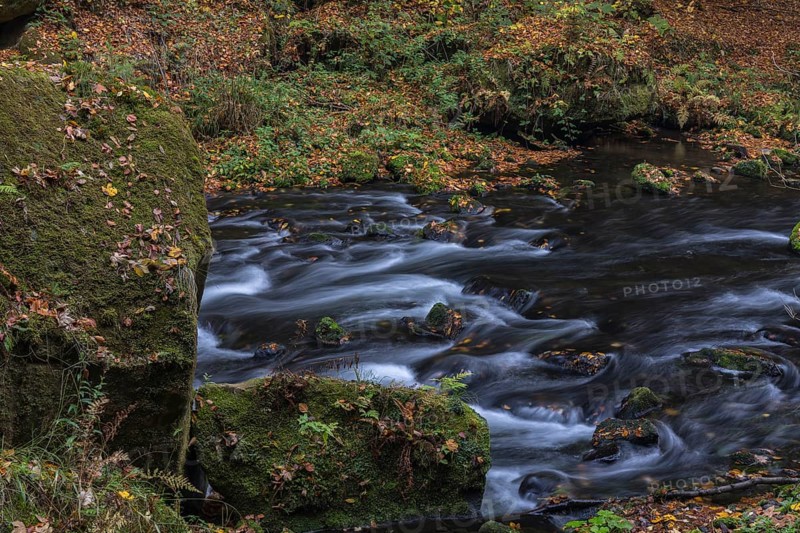 Flowing water with ferns and rocks in the Edmunds Gorge in autumn. River Kamnitz, Hrensko, Ustecky kraj, Czech Republic, Europe