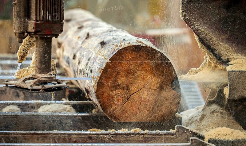 Solingen, North Rhine-Westphalia, Germany - Spruce logs, here spruce wood infested by bark beetles, beetle wood, is processed into construction timber, construction timber is scarce and expensive, carpentries and joineries are struggling with rapidly rising raw timber prices in times of the corona crisis, large quantities of logs are exported to China and the USA