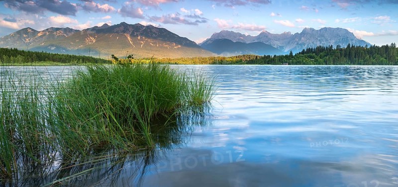 Evening mood at Barmsee with reeds, view of the Karwendel mountains, Krün, Bavaria, Germany, Europe