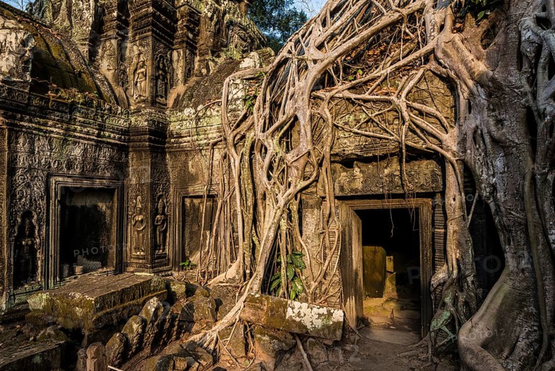 Ta Prohm, Angkor Wat, Angkor, UNESCO World Heritage Site, Siem Reap, Cambodia, Indochina, Southeast Asia, Asia