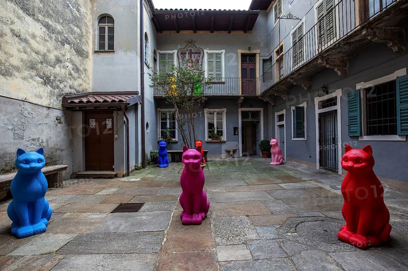 Cat figurines in a backyard of Cannobio, Lake Maggiore, Province of Verbano-Cusio-Ossola, Piedmont Region, Italy, Europe