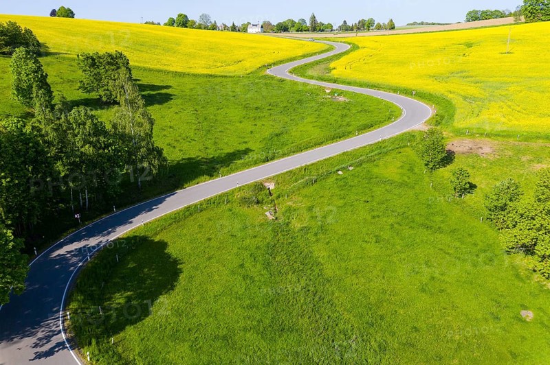 Aerial view of the winding serpentine road between blossoming rapeseed fields from Reifland to Rauenstein, Pockau-Lengefeld, Erzgebirge, Saxony, Germany, Europe