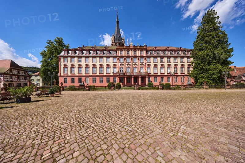 Erbach Castle, trees, cobblestone square, blue sky with cumulus clouds, market square, Erbach, Odenwald, Odenwaldkreis, Hesse, Germany, Europe
