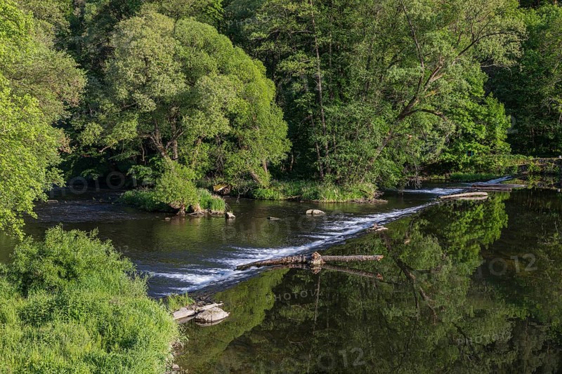 Thaya riverbanks. Hardegg is a small town in the district of Hollabrunn in Lower Austria, Austria. The Thaya valley is protected as a national park. On the Czech side is the Podyjí National Park