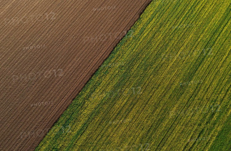 Drone view, green and ploughed fields, agricultural landscape, Innviertel, Upper Austria, Austria, Europe