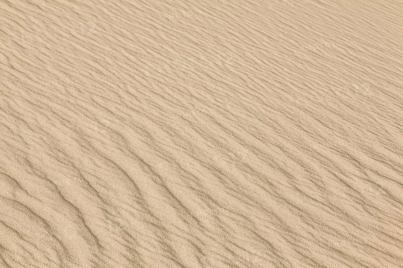 Close-up of sandy dunes with wave-like patterns and a warm, beige colour scheme, Sankt Peter-Ording, Schleswig-Holstein, Germany, Europe