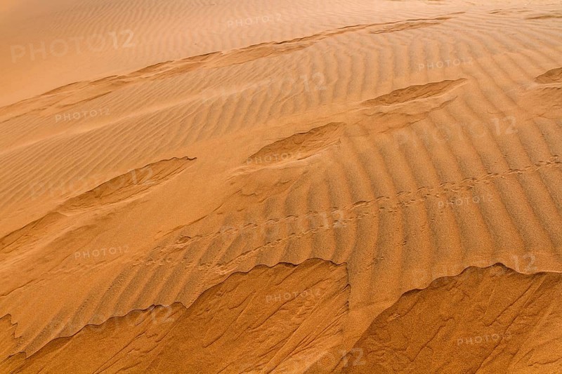 Structures in the sand, Sossusvlei, Namib Desert, Namibia, Africa