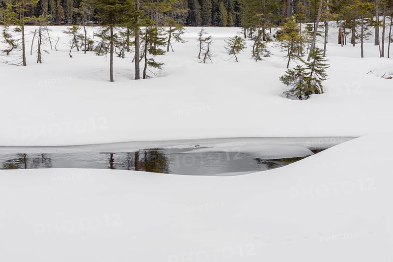 Lake Grosser Arbersee in late winter. The lake and the adjacent forest are snow covered. Germany, Bavaria, Bavarian Forest National Park