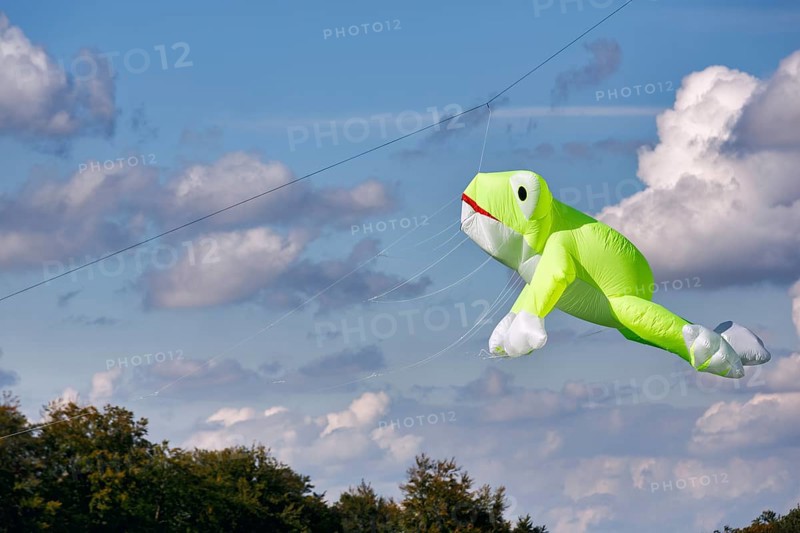 Kite flying in the sky, frog, kite festival in Vinsebeck, Cumulus, Steinheim, Eggegebirge and Southern Teutoburg Forest nature park Park, Weserbergland, North Rhine-Westphalia, Germany, Europe