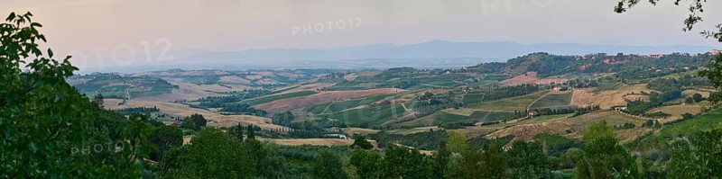 Typical viw of the Tuscan landscape in Val d'Orcia with hills, trees, fields, cypresses and farm houses in summer, Montepulciano, Tuscany, Italy, Europe