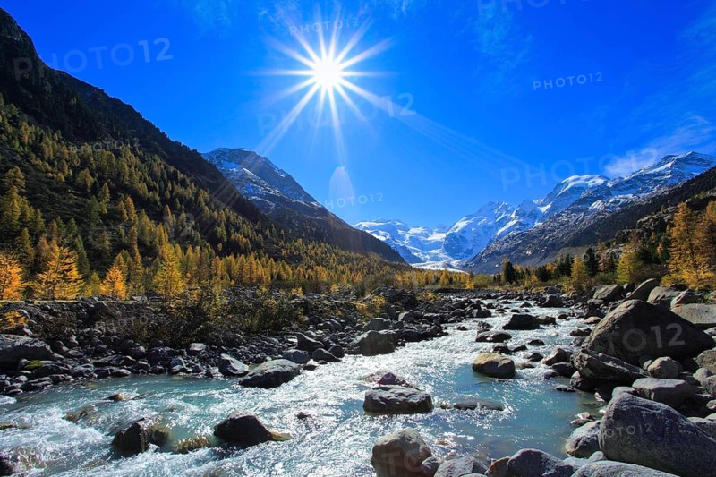 Mountain stream, larch forest, Piz Palü, 3905 m, Piz Bernina, 4049 m, Biancograt, Morteratsch glacier, Upper Engadine, Grisons, Switzerland, Europe