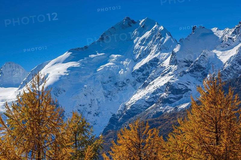 Piz Bernina, 4049 m, Bianco ridge, Upper Engadine, Grisons, Switzerland, Europe