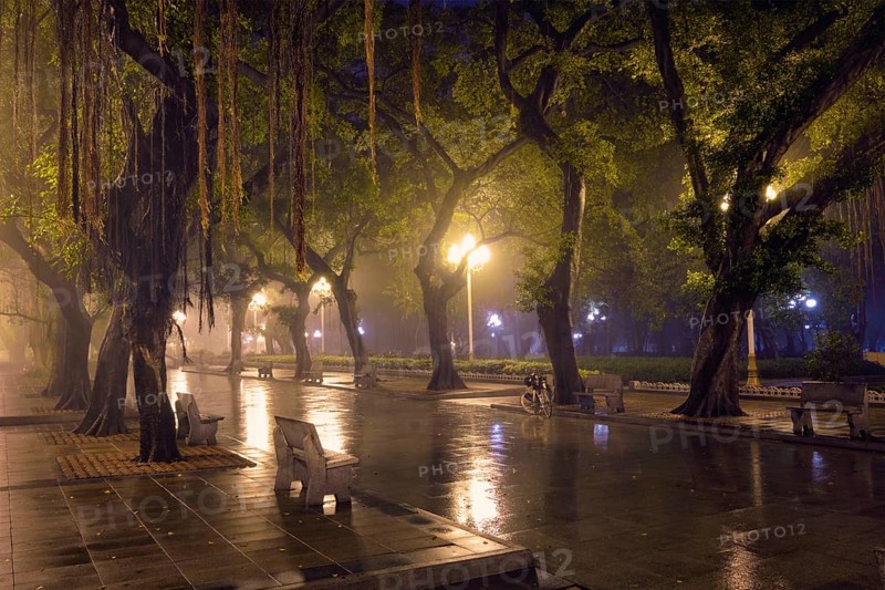 Guangzhou People's Park with mist fog at night. Guangzhou, China, Asia