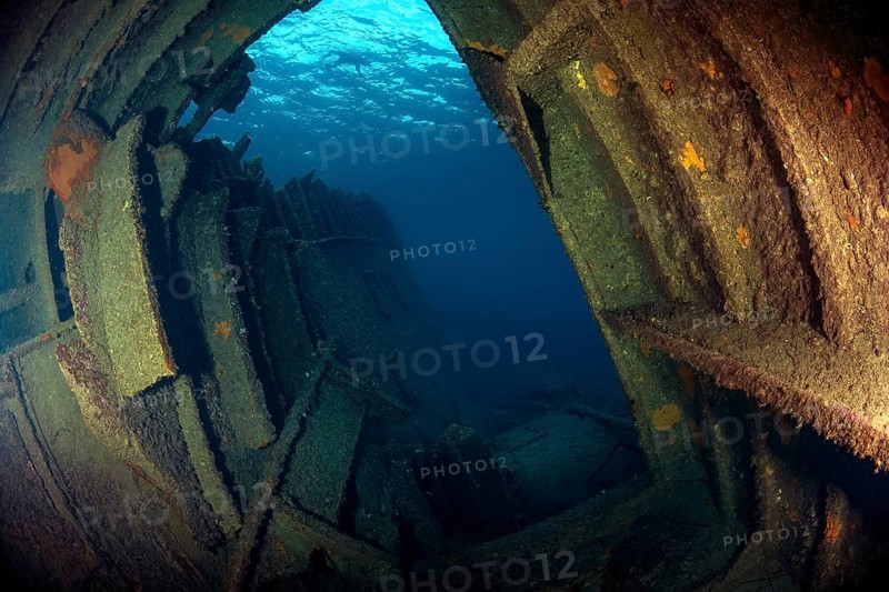 View through rusting hull of rusty shipwreck Elviscot, Mediterranean Sea, Elba, Tuscany, Italy, Europe