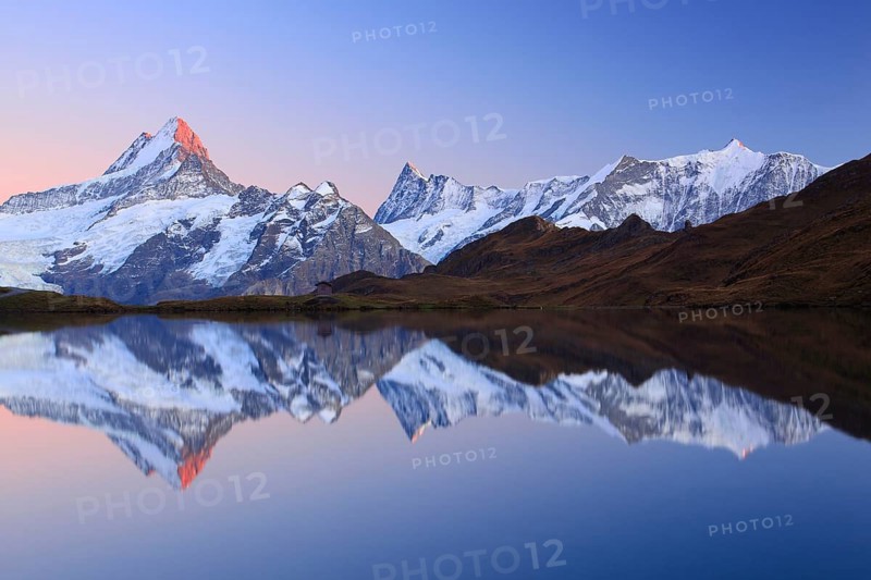 Bachalpsee, Schreckhorn, 4078 m, Finsteraarhorn, 4274 m, Bernese Oberland, Switzerland, Alpenglühen, Europe