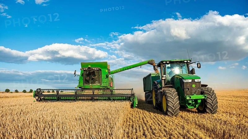 Combine harvester harvesting wheat and unloading grain onto tractor with trailer, endless cornfield, blue sky with cumulus clouds, Saalekreis, Saxony-Anhalt, Germany, Europe