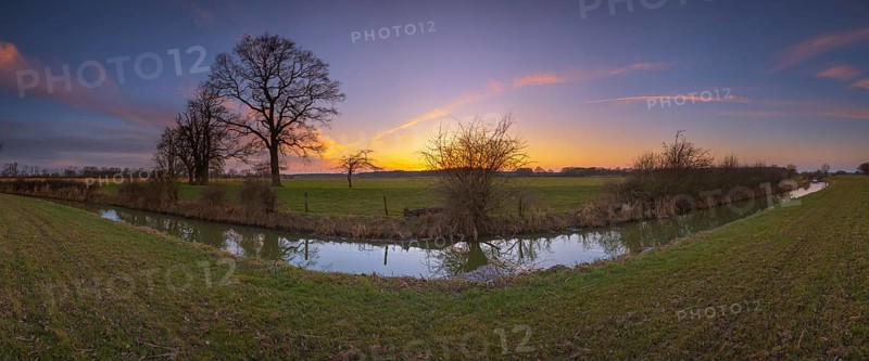 View over a ditch to non-leafy trees in the sunset, Panorama, Kirchlinteln, Verden, Aller Leine Valley, Lower Saxony, Germany, Europe