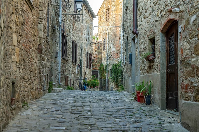 View of a little Street in the little wine town of Montefioralle, Chianti, Florence, Firenze, Tuscany, Italy, Europe