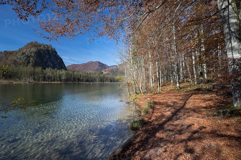 Walkway along the shore of Lake Almsee in autumn through a colored forest