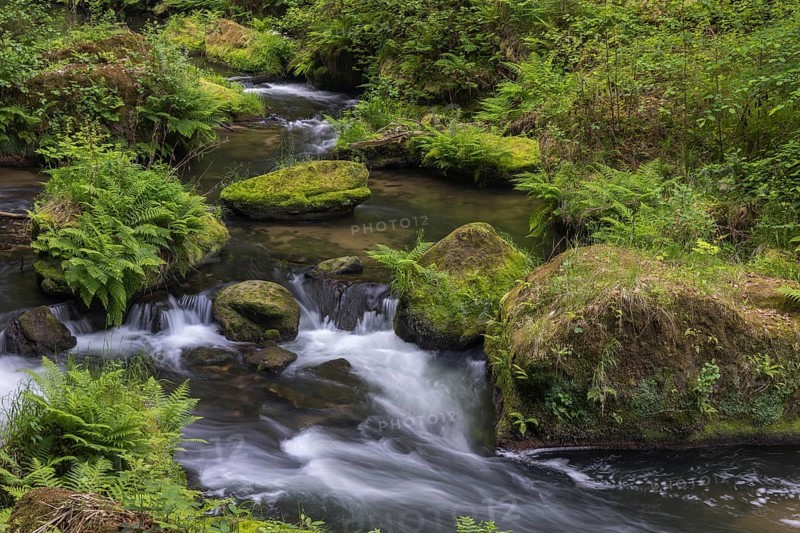 Flowing, silky water with ferns and rocks in the Edmunds Gorge, river Kamnitz, Hrensko, Ustecky kraj, Czech Republic, Europe