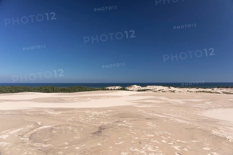 Lacka Dune on a sunny day with a blue sky in the Slowinski National Park, northern Poland on the Baltic Sea coast. 42 metres high and moving at a rate of 3 to 10 metres per year