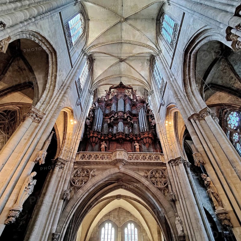 Interior view with a view of the organ, St Stephen's and St Sixtus Cathedral, Halberstadt, Saxony-Anhalt, Germany, Europe