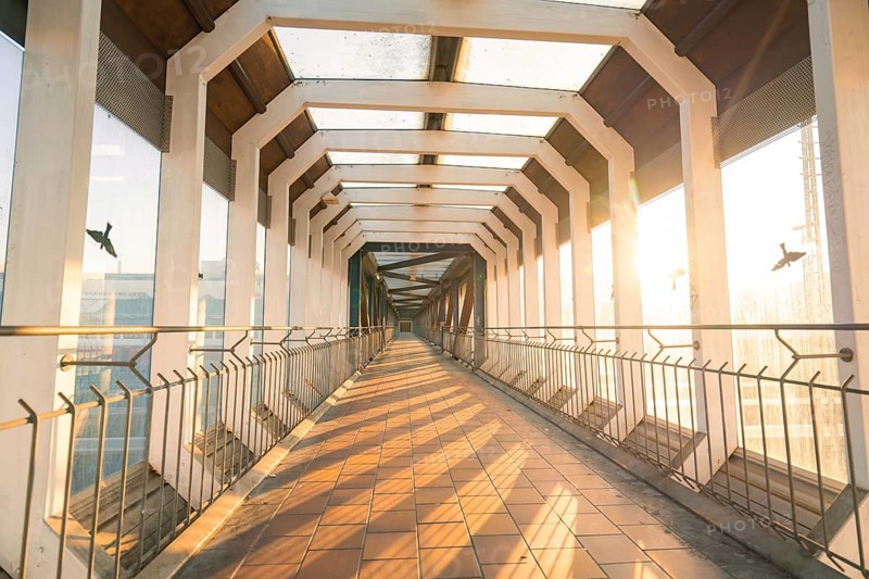 A light-flooded glass corridor with a strict geometry, surrounded by birds and bathed in warm light, Sindelfingen railway station, Böblingen district, Germany, Europe
