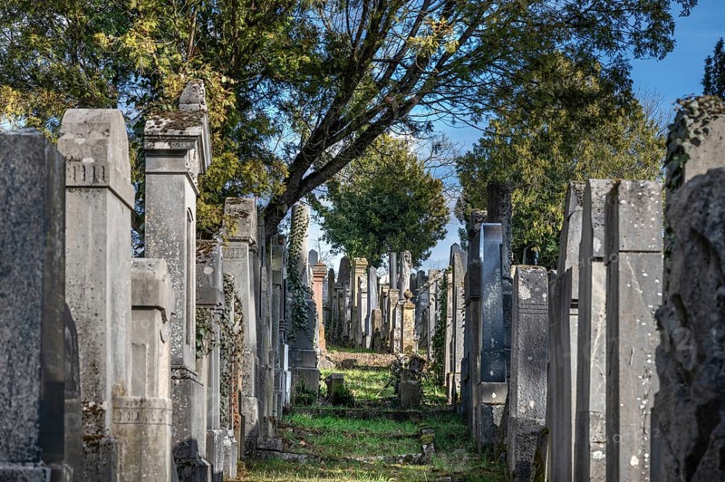 Old gravestones at the Israeli cemetery, inaugurated in 1882, Werner-von Siemens Str. 2, Würzburg, Lower Franconia, Bavaria, Germany, Europe