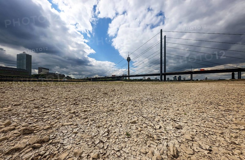 Düsseldorf, North Rhine-Westphalia, Germany, Dry riverbed in the Rhine in front of the Rheinkniebrücke and Rheinturm. After a long dry spell, the level of the Rhine fell to 71 cm today. Skippers speak of small water at this level, Europe