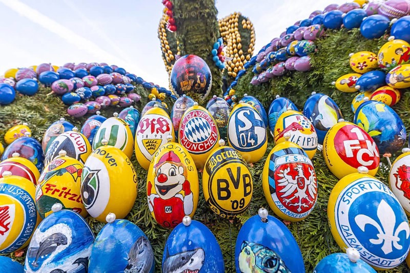 The Easter fountain in Schechingen has around 13, 000 hand-painted eggs. This makes it one of the largest and most beautiful in the whole of East Württemberg. Around 50, 000 visitors admire the decorated village fountain every year. The motifs on the Easter eggs are varied. One series, for example, shows the crests of the Bundesliga football teams. Schechingen, Ostalbkreis, Baden-Württemberg, Germany, Europe
